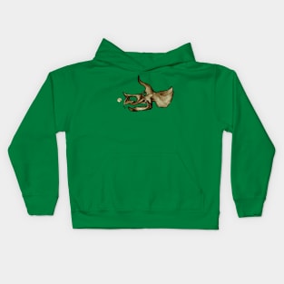 Agreeing Triceratops Kids Hoodie